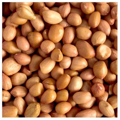 100% Greek Organic Raw Peanuts No Shell Broken (%): 2