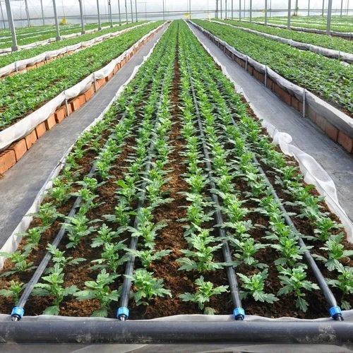 Drip irrigation PIPE