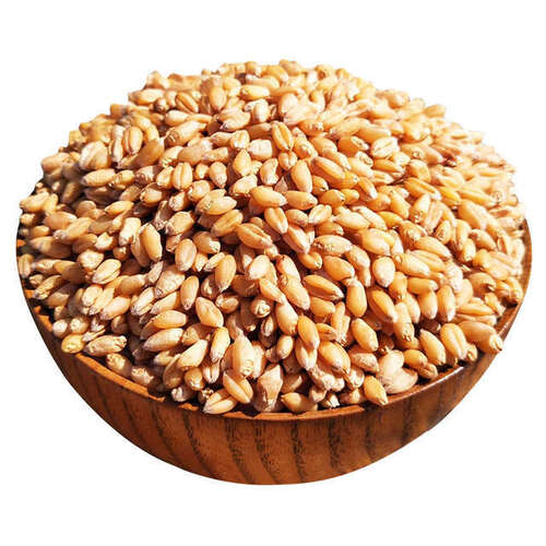 A Grade And Impurities Free Golden Wheat