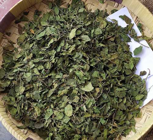 Gymnema Sylvestre Dried Leaf Leaves Herbal Tea