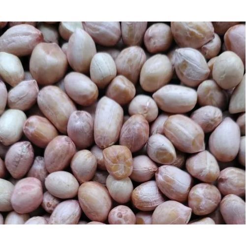 Indian Origin Dried Tumkur 2 Tj Peanuts