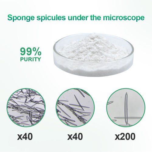Hot Sale Plant Extract Spongilla Spicule Powder