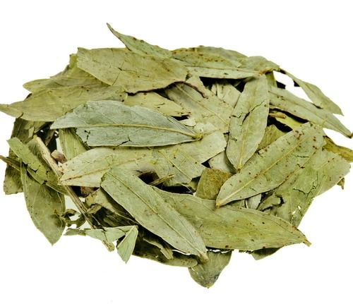 Senna Leaves Sanay Dried