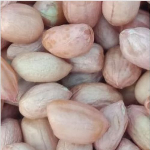 100% Pure And Organic Russia Peanut (Groundnuts)