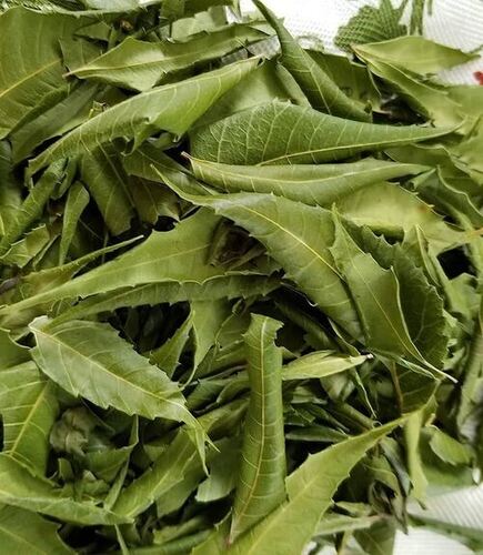 100% Natural Dried Neem Leaves