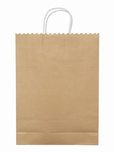 Brown Kraft Paper Bag For Shopping Use
