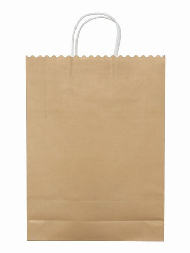 Kraft Paper Gift Bag - 1kg, 2kg, 5kg Capacity | Biodegradable, Disposable, Flexiloop Handle, Available in Multiple Colors