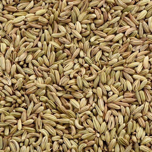 Indian Origin Organic Fennel Seed