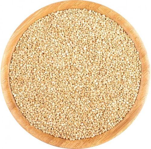 Indian Origin White Quinoa Seeds