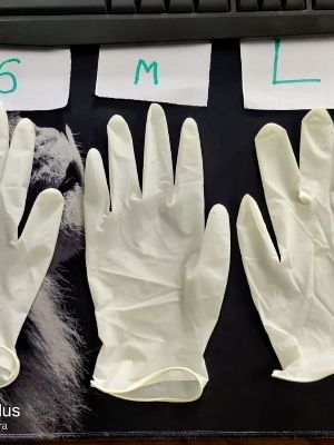 latex examination gloves