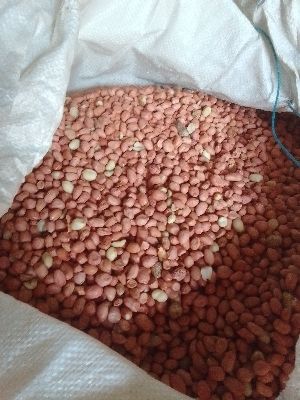 Rich In Taste Dried Groundnut Kernels Broken (%): 2