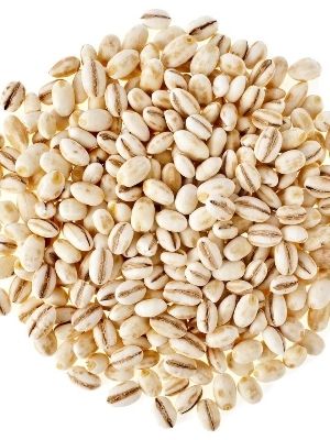 White Free From Impurities Barley Seeds