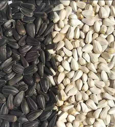 Natural White And Black Safflower Seeds