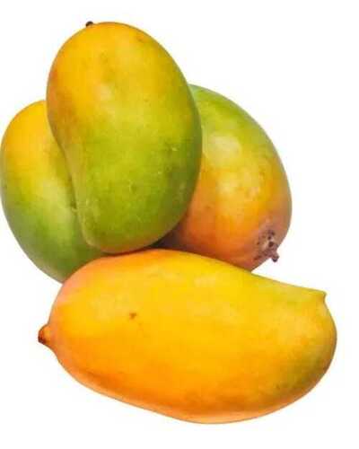 100% Pure Organic Farm Fresh Sweet Kesar Mango