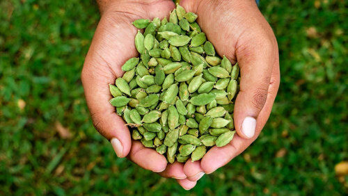 A Grade And Rich Aroma Green Cardamom