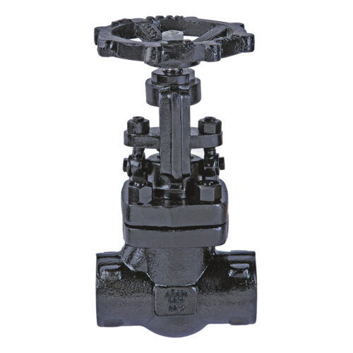 Black Drop Forged Steel Globe Valve