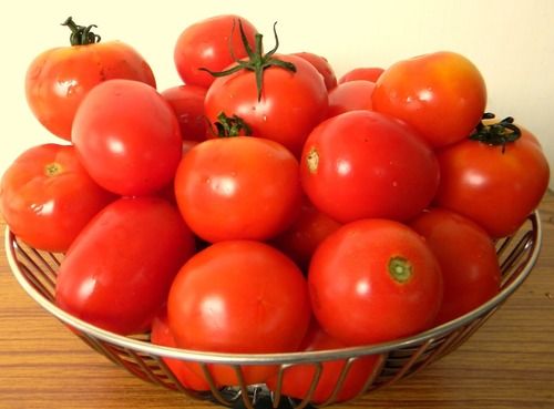 Indian Origin Fresh Red Tomato