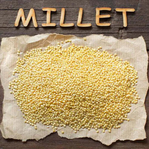 Millet