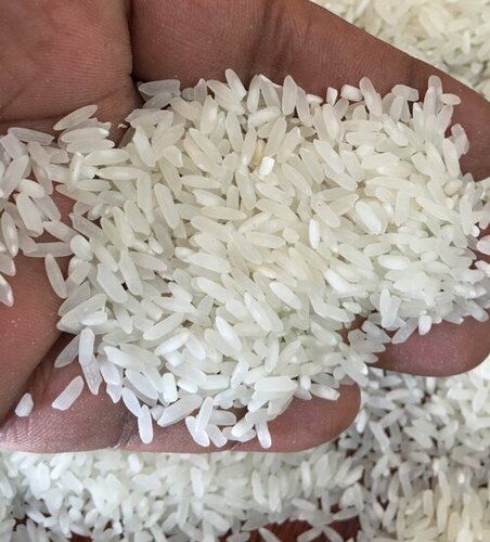 A Grade White Rice - Fully Polished, 100% Organic , Highly Pure White Dried Grain for Cooking