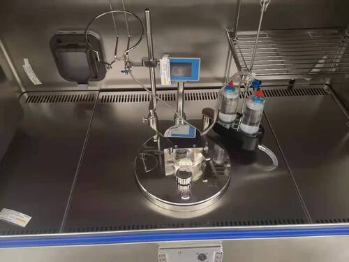 Embed Sterility Test Pump Isolator
