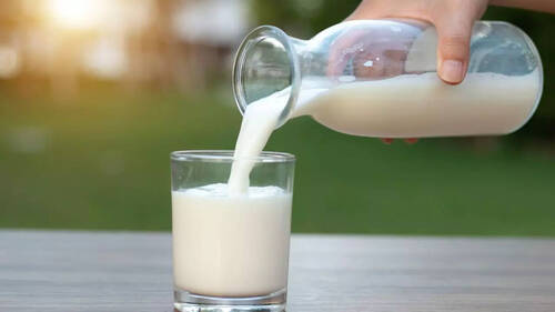 100% Pure And Fresh Cow Milk, High In Protein