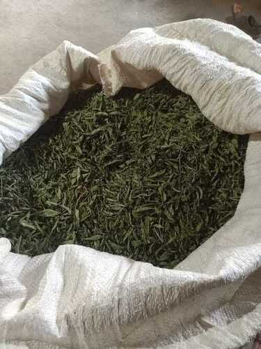 Stevia Dry Leaves