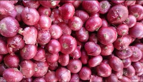 100% Natural And Pure Organic Red Onion