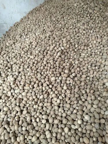 Brownn Good For Health Pesticide Free Dried Nutmeg