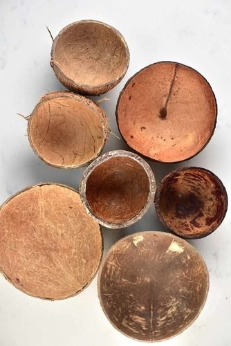 Local Coconut shell Suppliers 