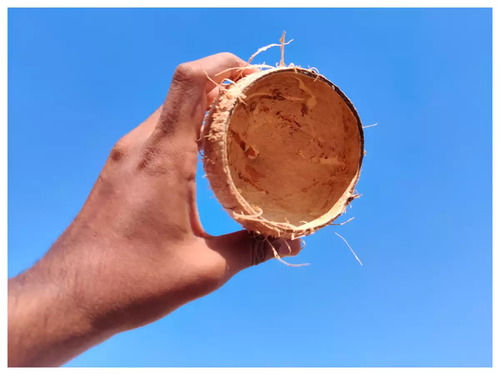 organic brown coconut 