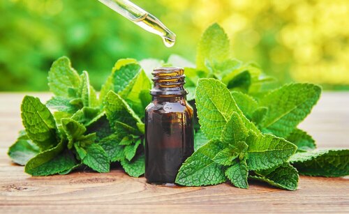 Peppermint Oil - 200ml and 250ml Liquid Forms | Purity Leaves Extract for Relieving Back Pain in Adults