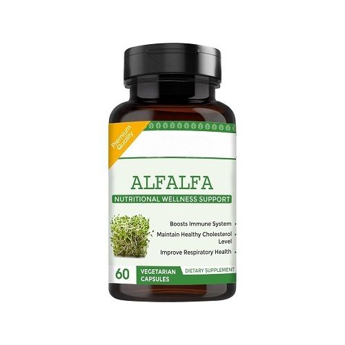 100% Natural Alfalfa Capsules Herbal Medicine