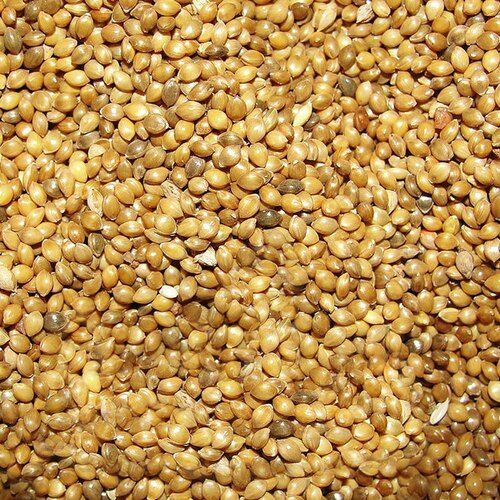 A Grade Common Cultivated Indian Origin 99.9% Pure Dried Edible Millets