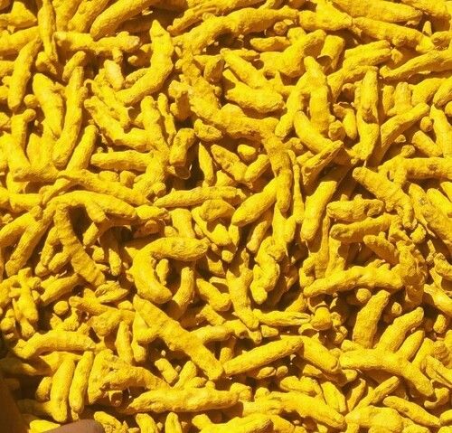 A Grade Indian Origin Common Cultivation 99.9% Pure Dried Turmeric Finger