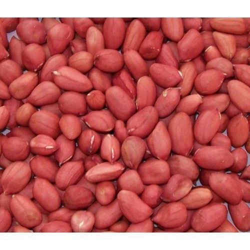 Red High Oil Content Groundnut