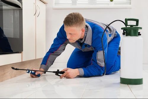 Residential Pest Control Service Provider In Local By Pest Free Services
