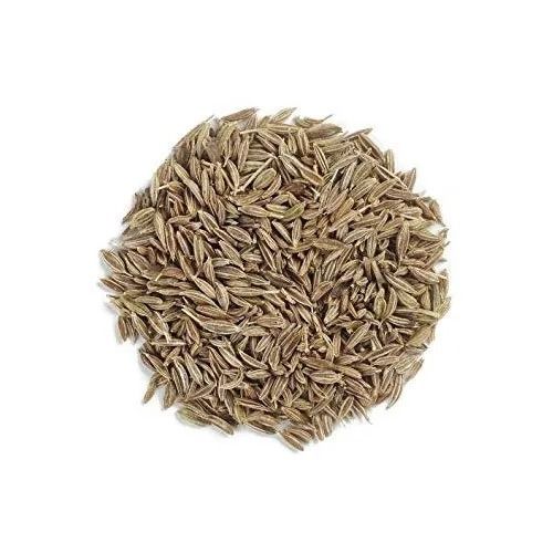 Rich In Taste Sun Dried Cumin Seeds