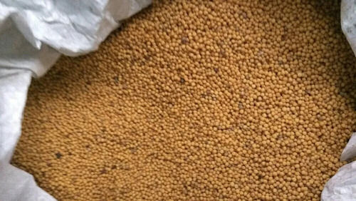 A Grade Common Cultivated Indian Origin 99 Percent Pure Edible Mustard Seeds