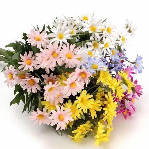 Natural Daisy Flower For Reselling, Gifting And Decoration