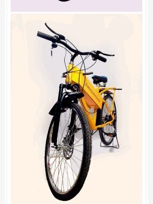 Electric Bicycle