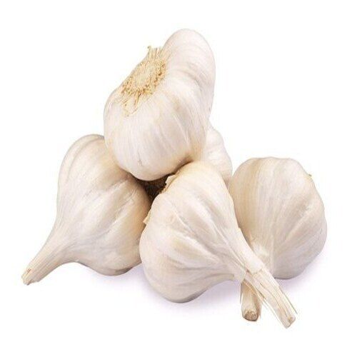 Fresh Garlic