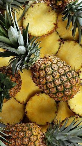 Hygenic And Juicy Farm Fresh Pineapple