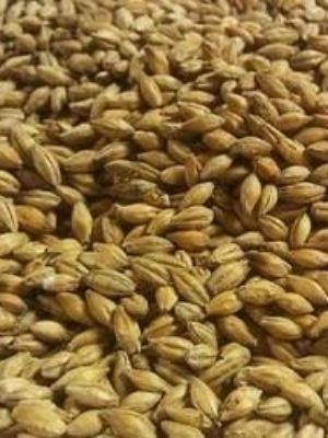 wheat malt