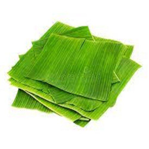 A Grade 99.9 Percent Purity Natural Eco-Friendly Green Banana Leaf