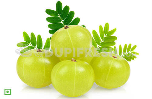 Common Cultivated Indian Origin A Grade Round Shape Fresh Amla