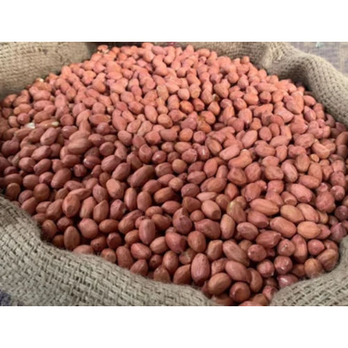 Raw G20 Bold Indian Groundnut Peanut