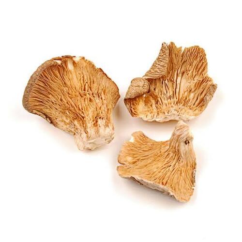 Dry oyster mushroom