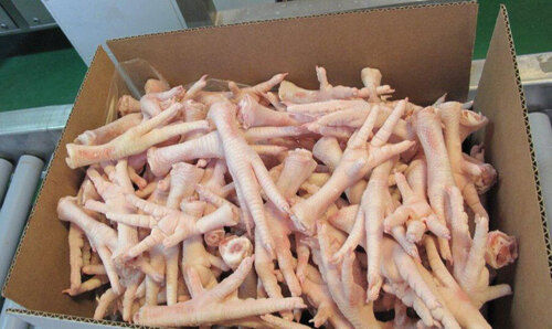 Frozen Halal Whole Chicken Paws