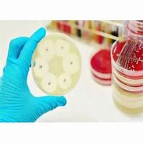 Pathogen Isolation And Antibiotic Sensitivity Testing Services