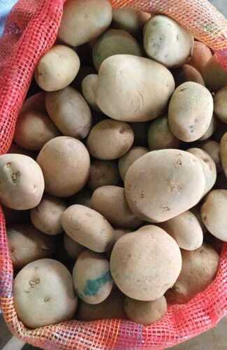 A Grade Indian Origin Commonly Cultivated 99.9 Percent Purity Fresh Potato